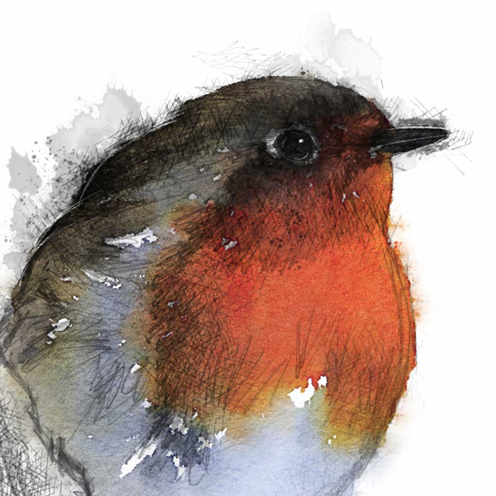 Robin