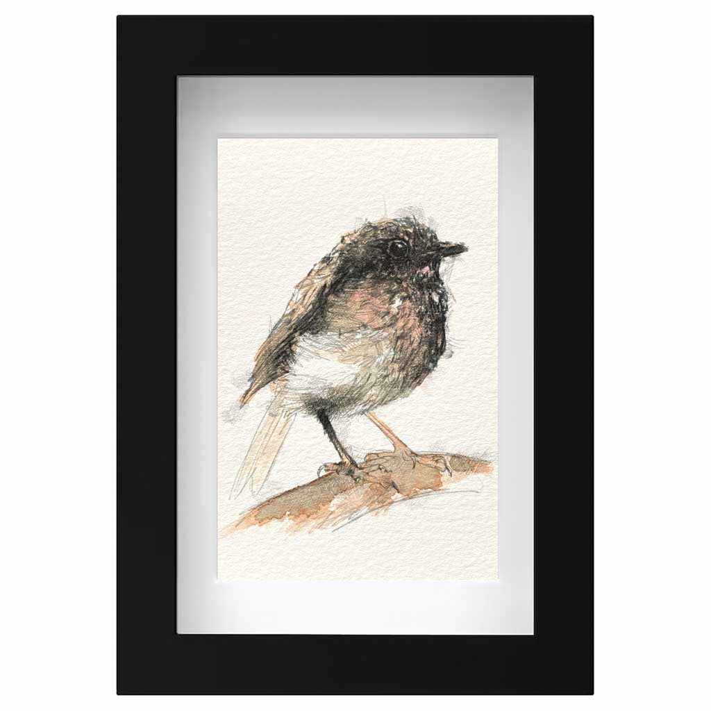 British robin original mini sketch