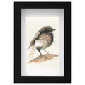 British robin original mini sketch