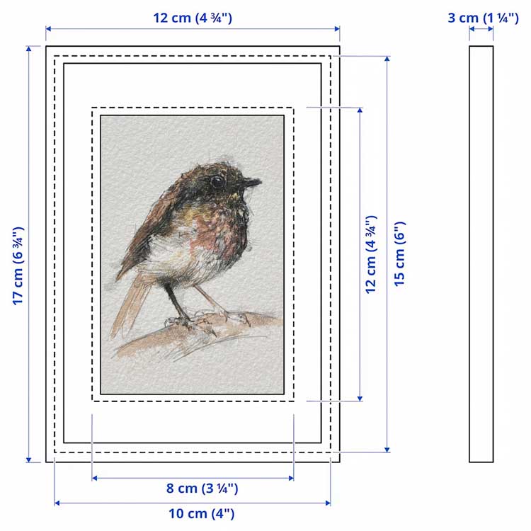 British robin mini sketch