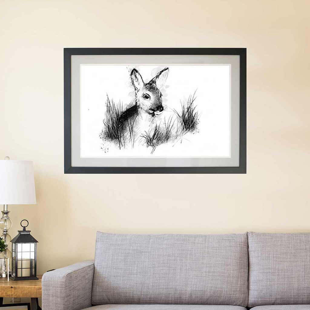 Roe deer at rest