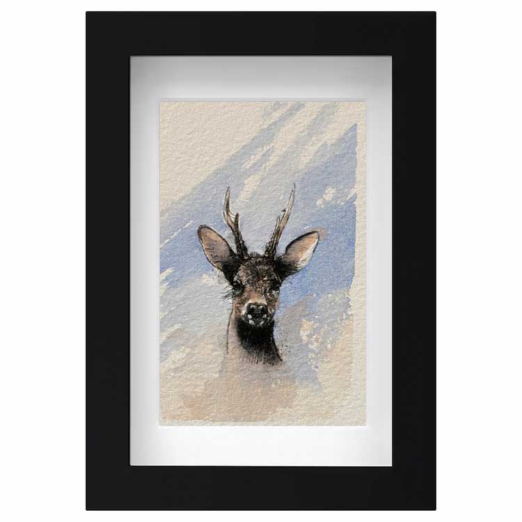 Roe deer mini sketch