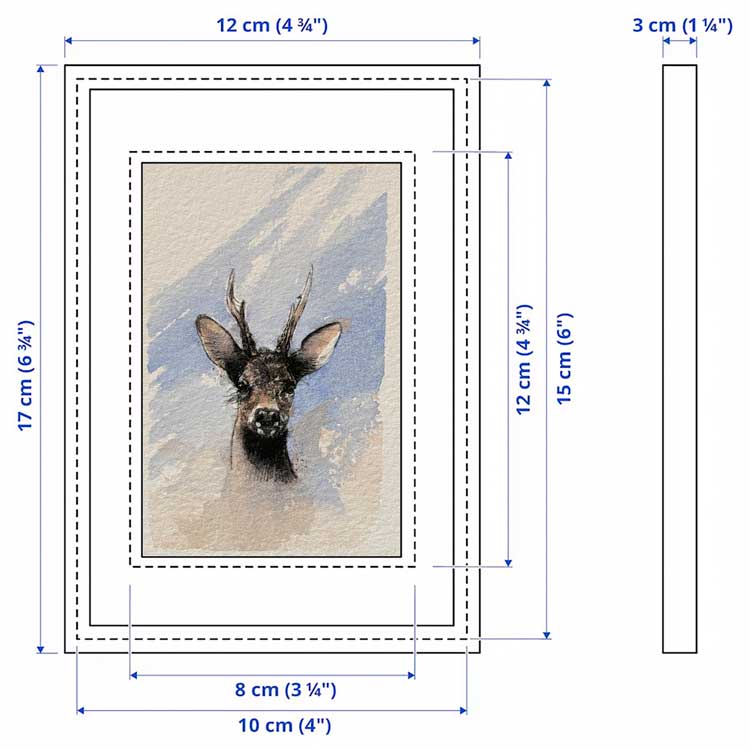 Roe deer mini sketch