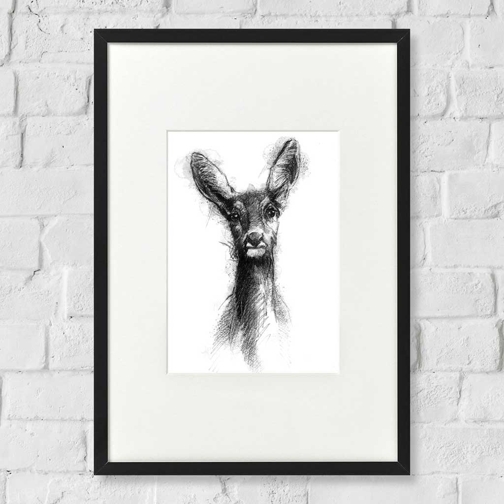 Roe deer doe