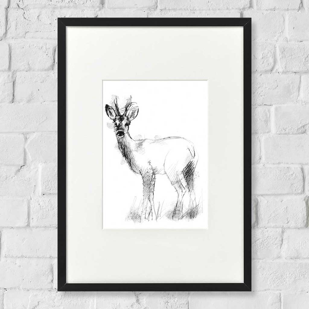 Roe doe deer