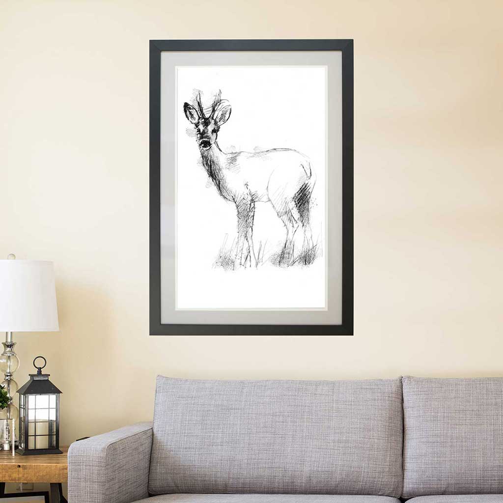 Roe doe deer