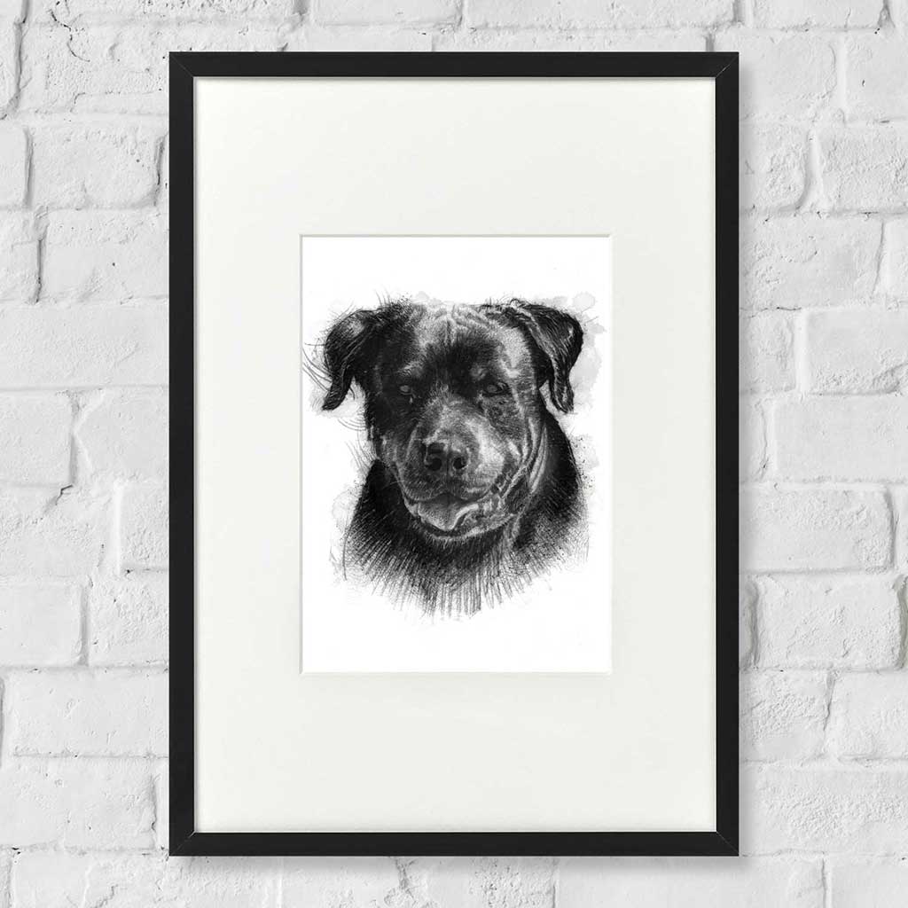 Rottweiler dog