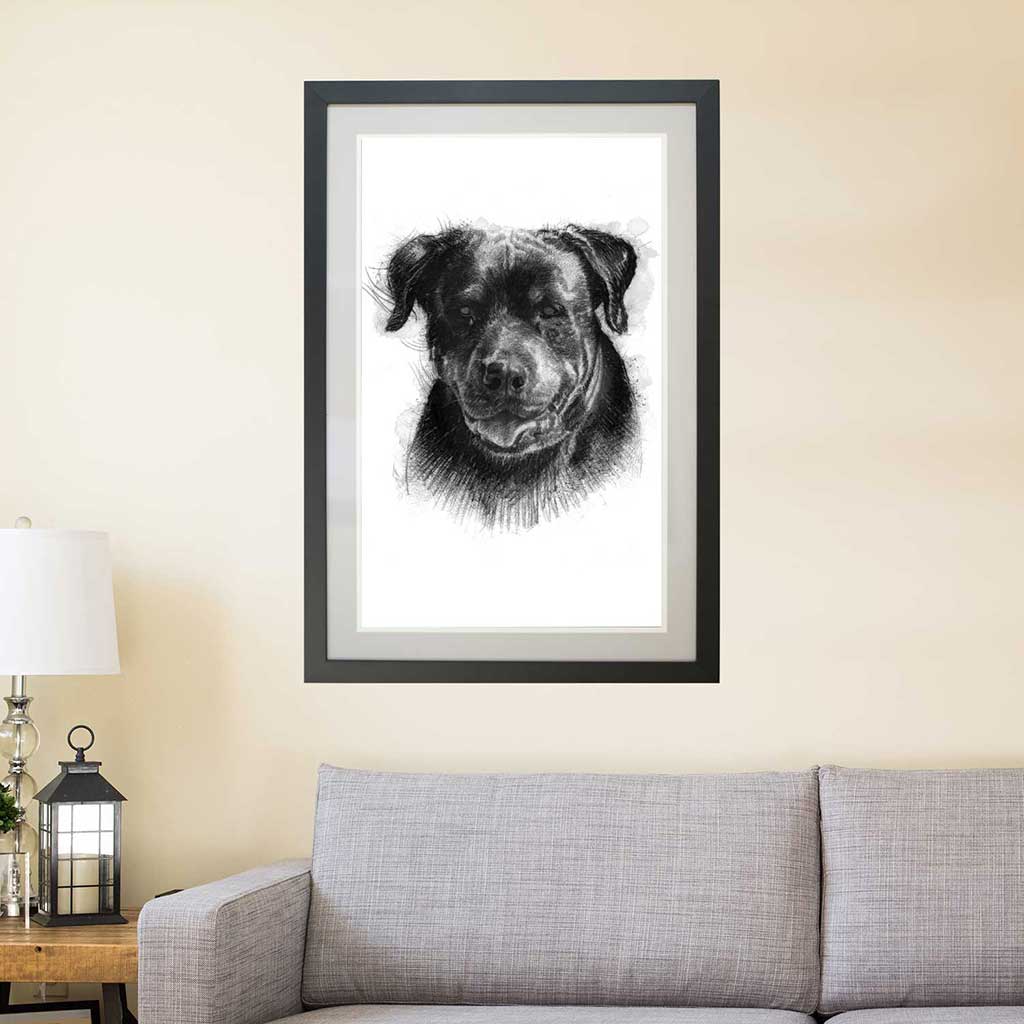 Rottweiler dog