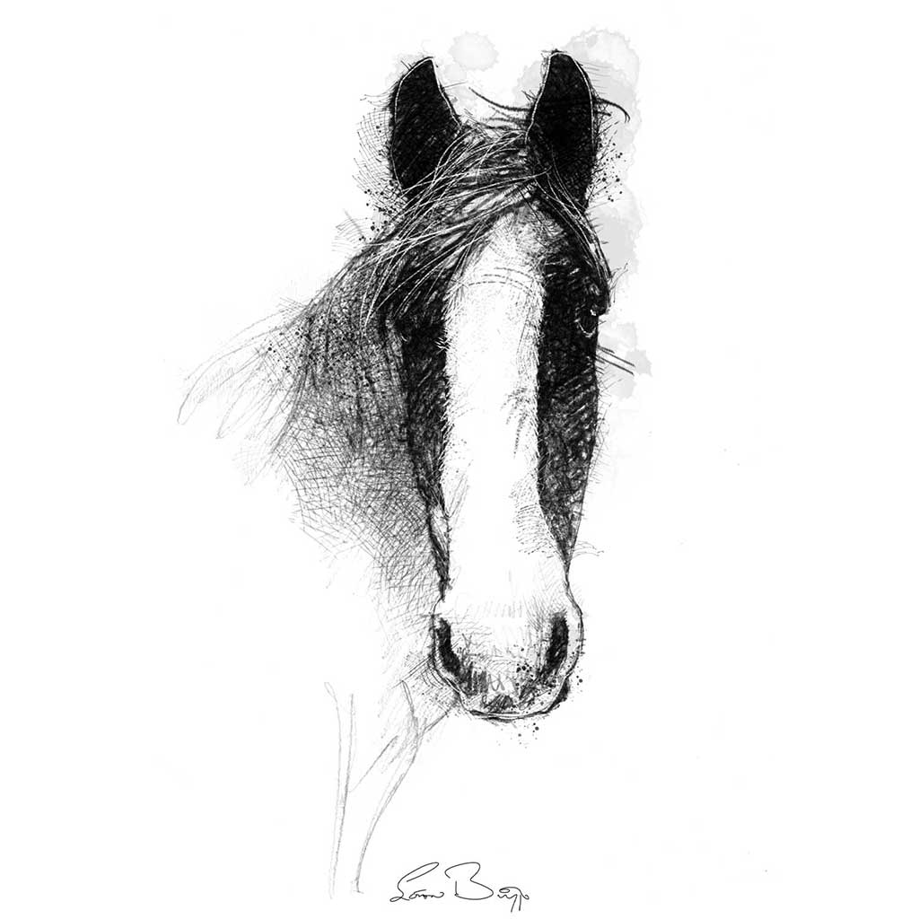 Horses trust Ruben