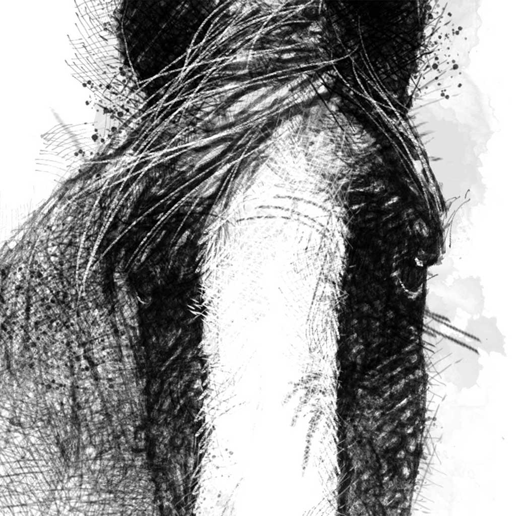 Horses trust Ruben