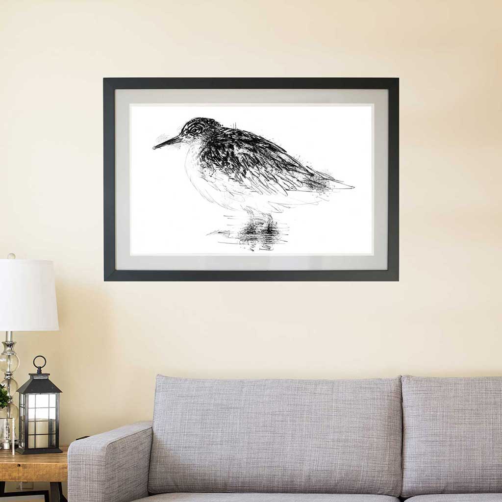 Ruff bird