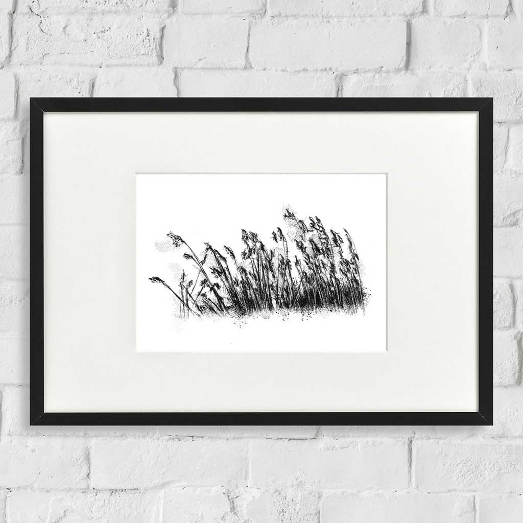 Rushes