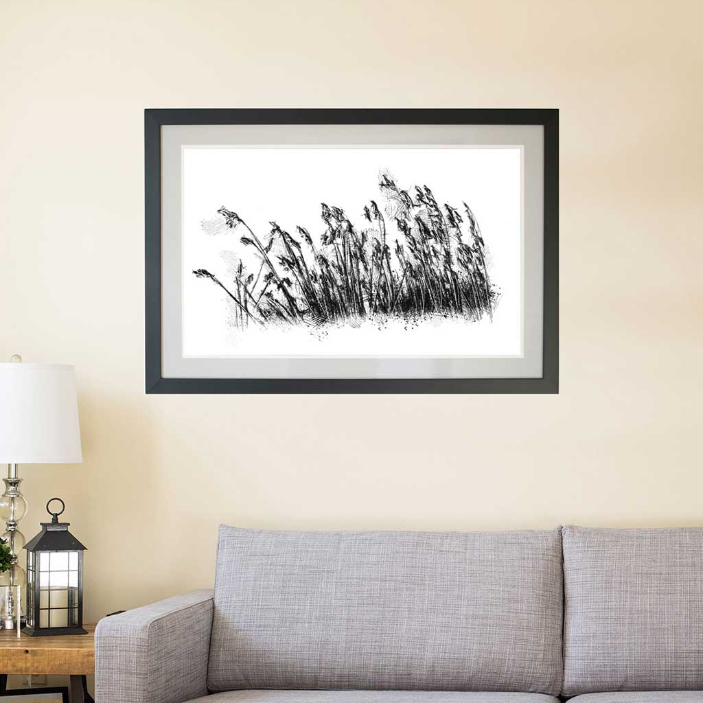 Rushes