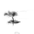 Rydall water tree