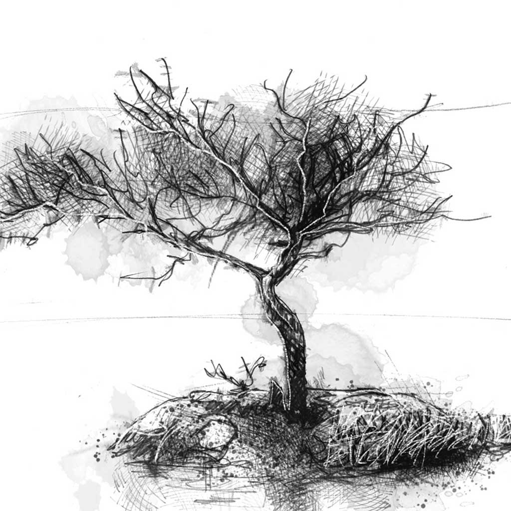Rydall water tree