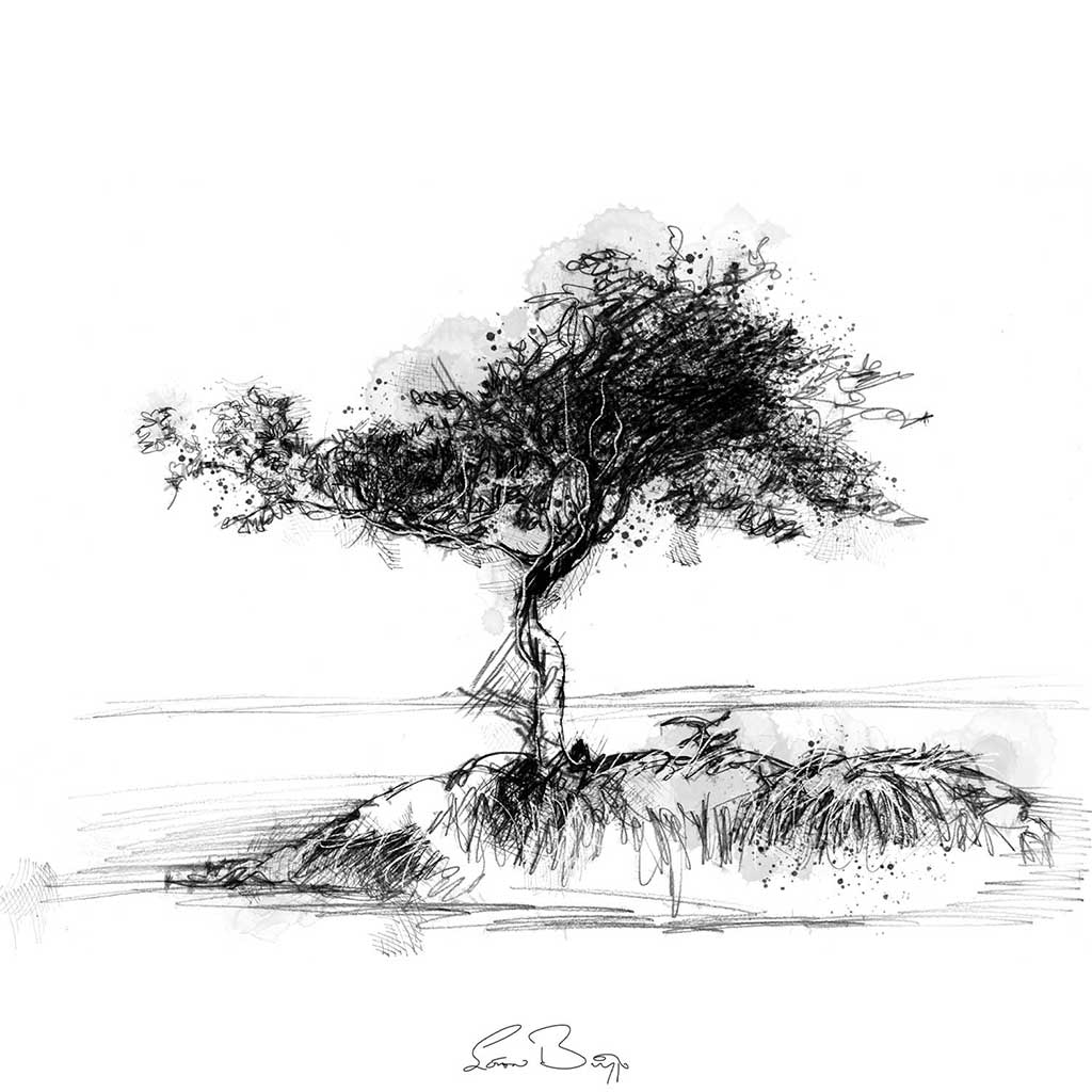 Coniston islet