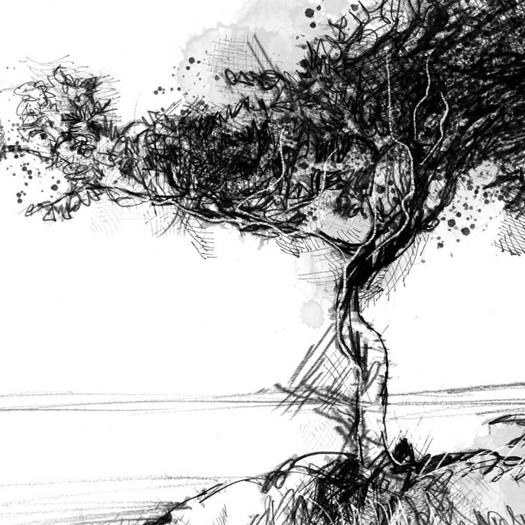 Coniston islet