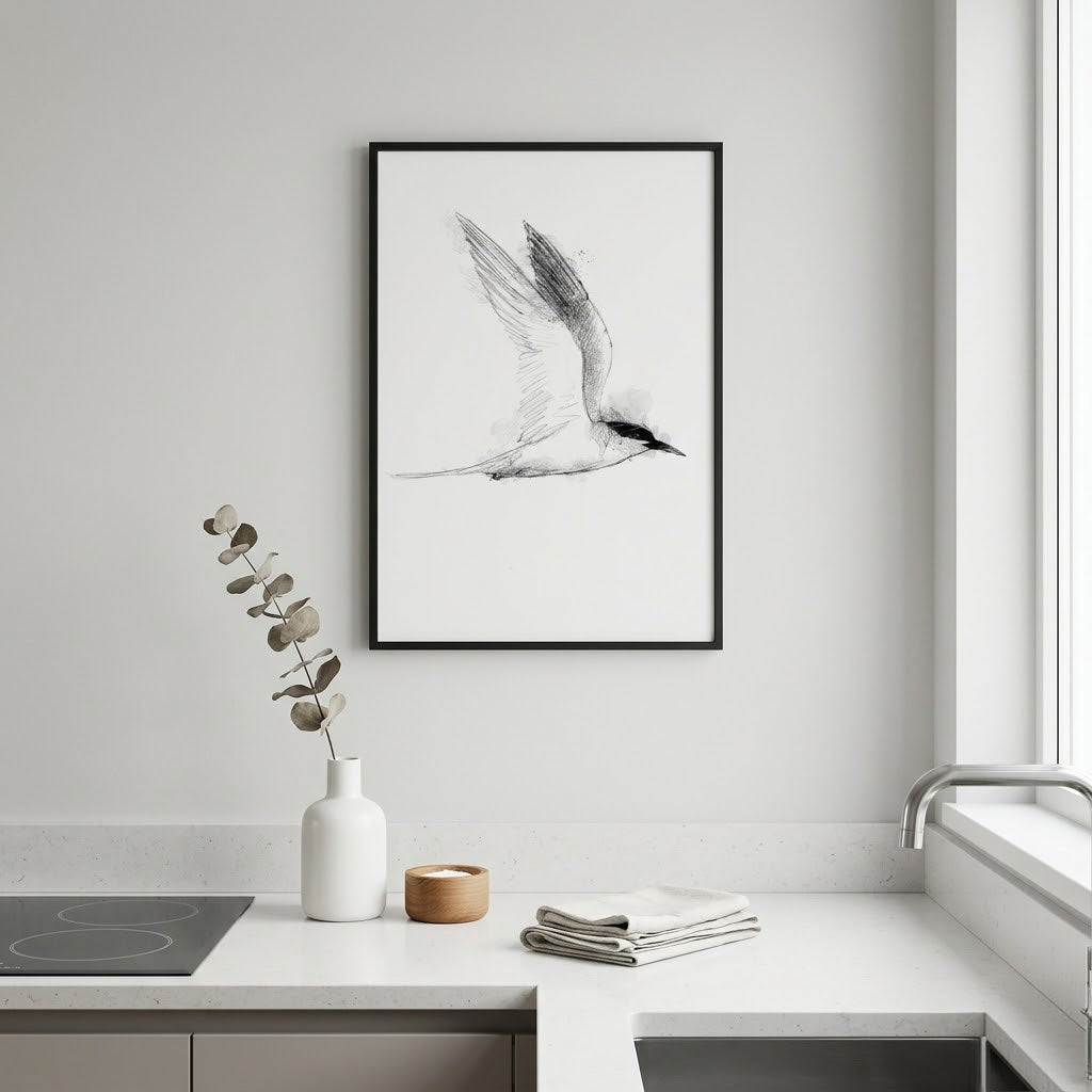 Roseate Tern - BW Sketch
