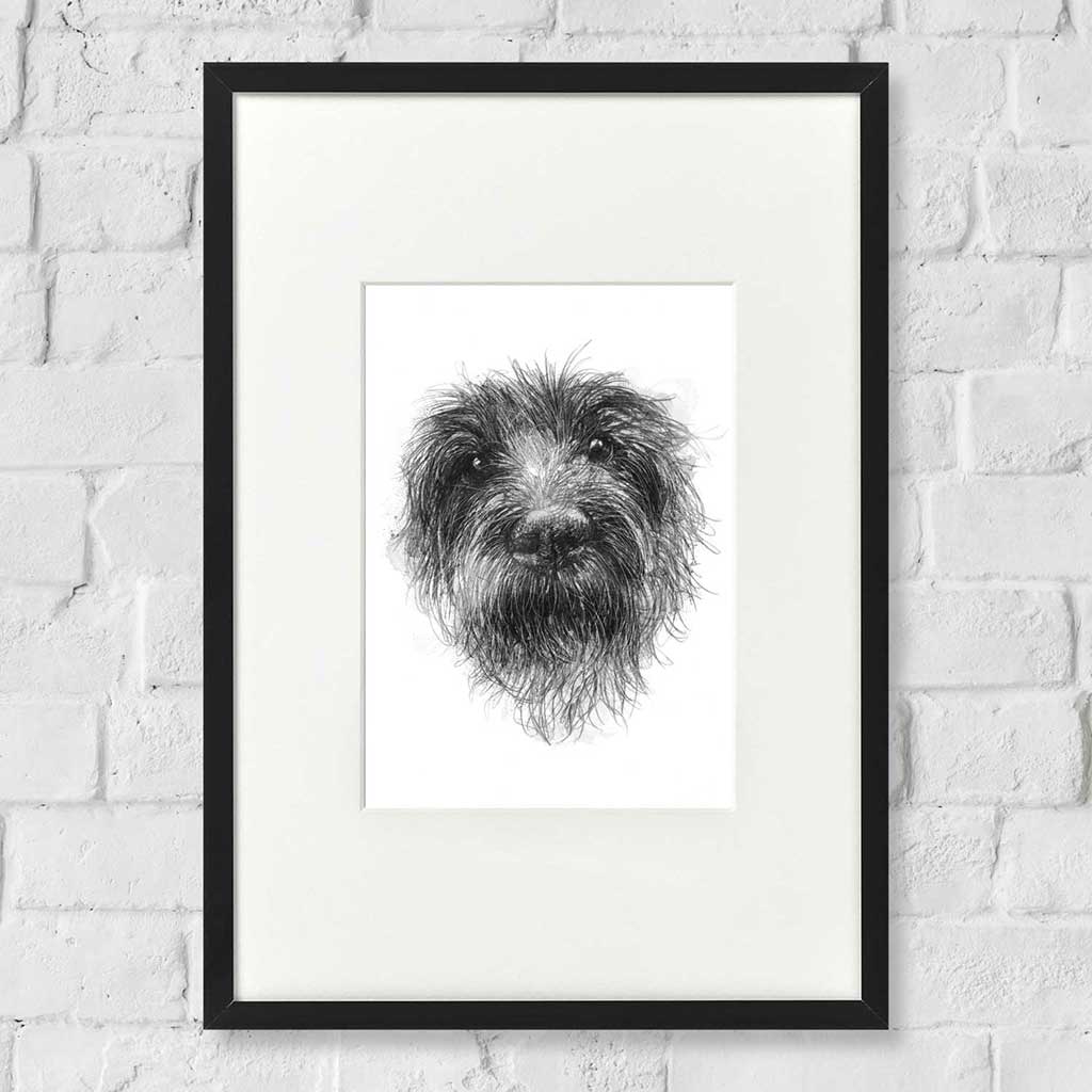 Fluffy dog