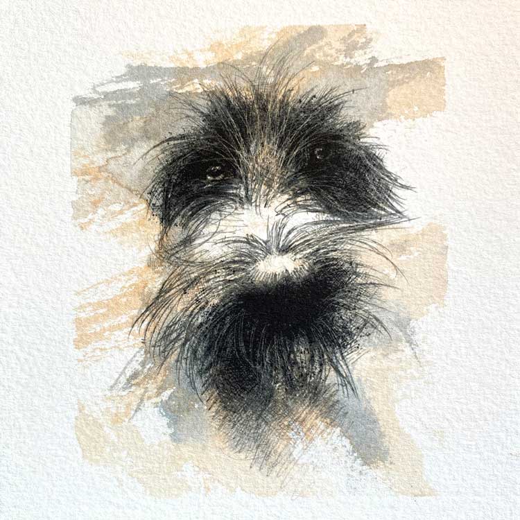 Scruffy dog mini sketch