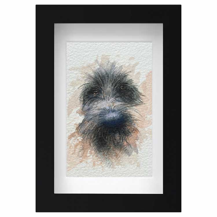 Scruffy dog mini sketch