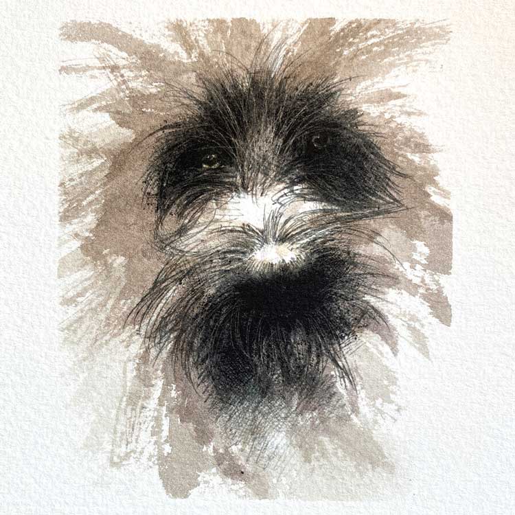 Scruffy dog mini sketch