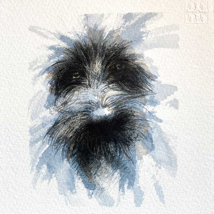 Scruffy dog mini sketch
