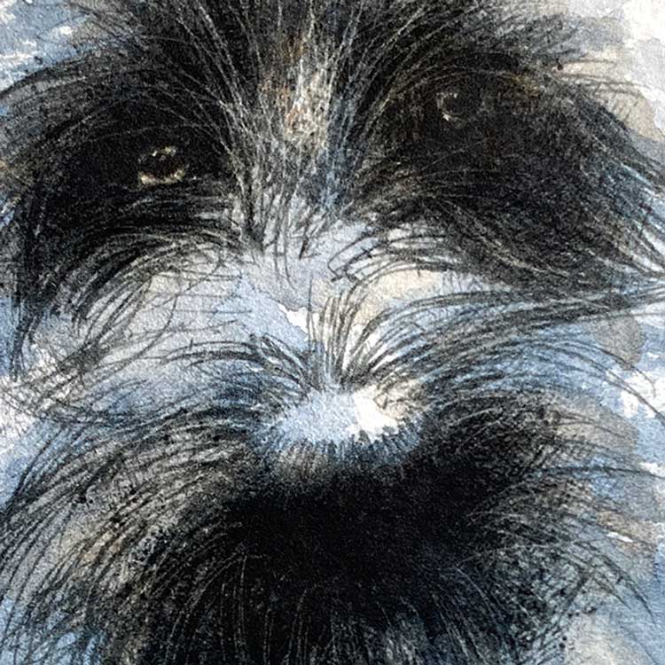 Scruffy dog mini sketch