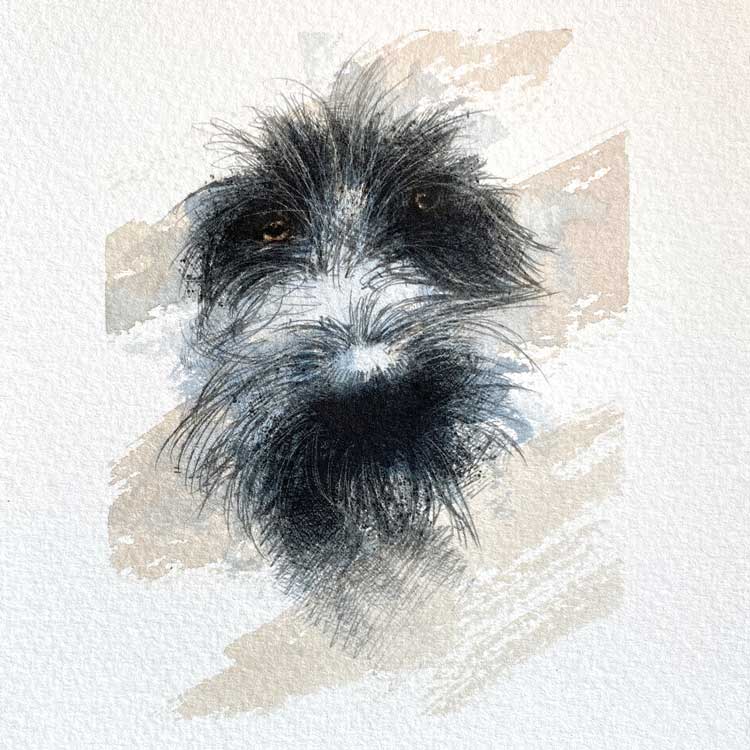 Scruffy dog mini sketch