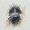 Scruffy dog mini sketch