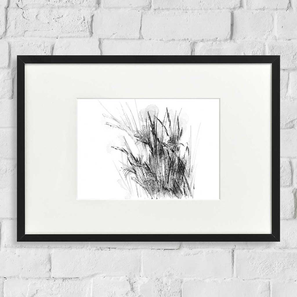 Sedge