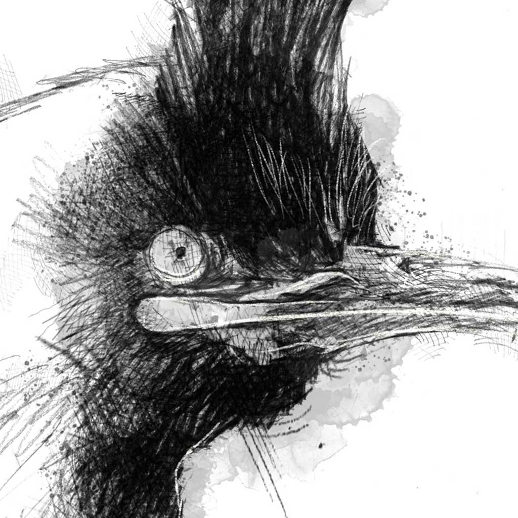 Shag