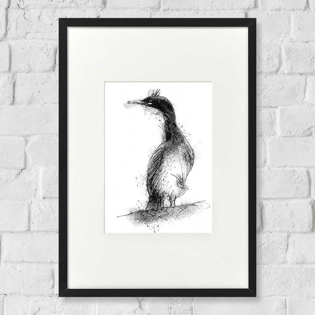 Shag