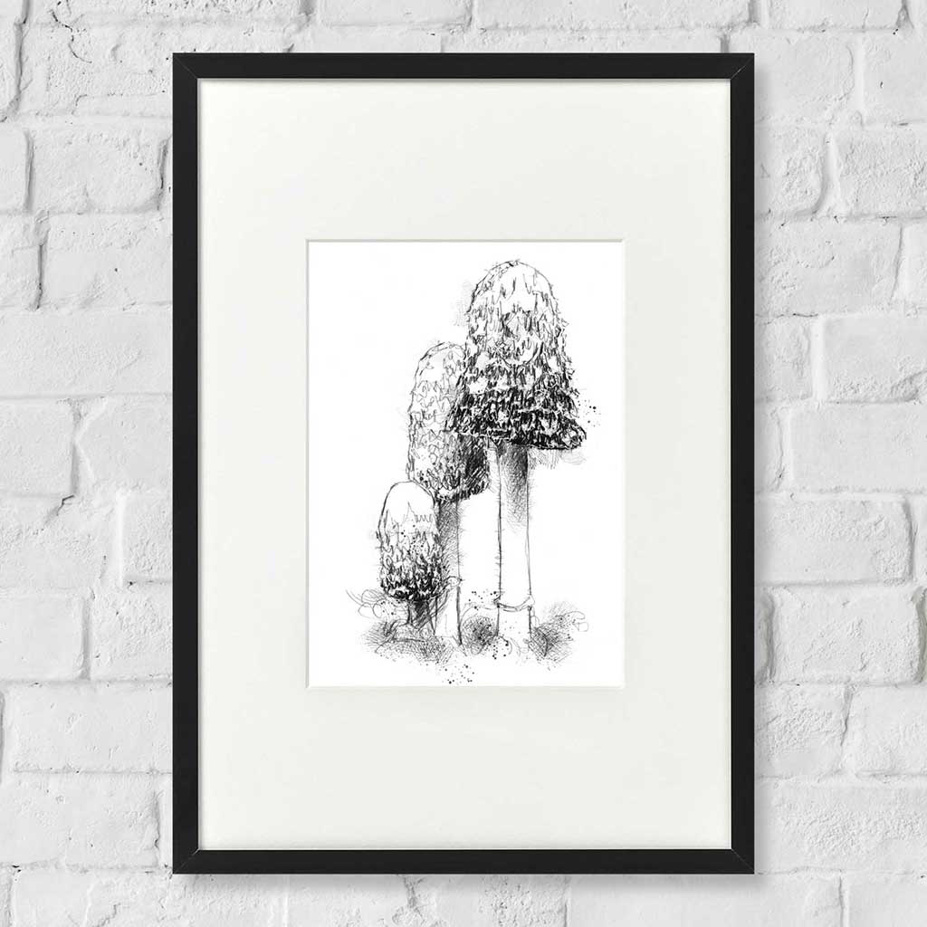 Shaggy ink cap