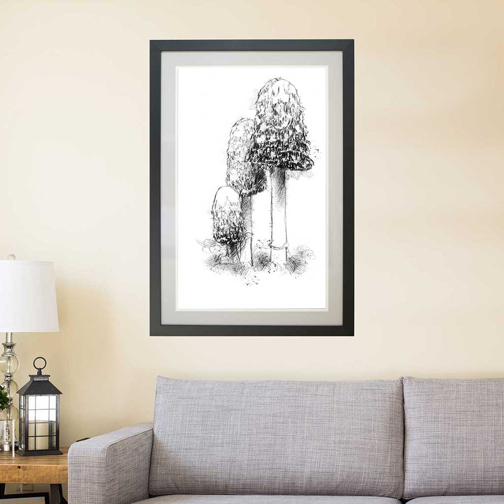 Shaggy ink cap