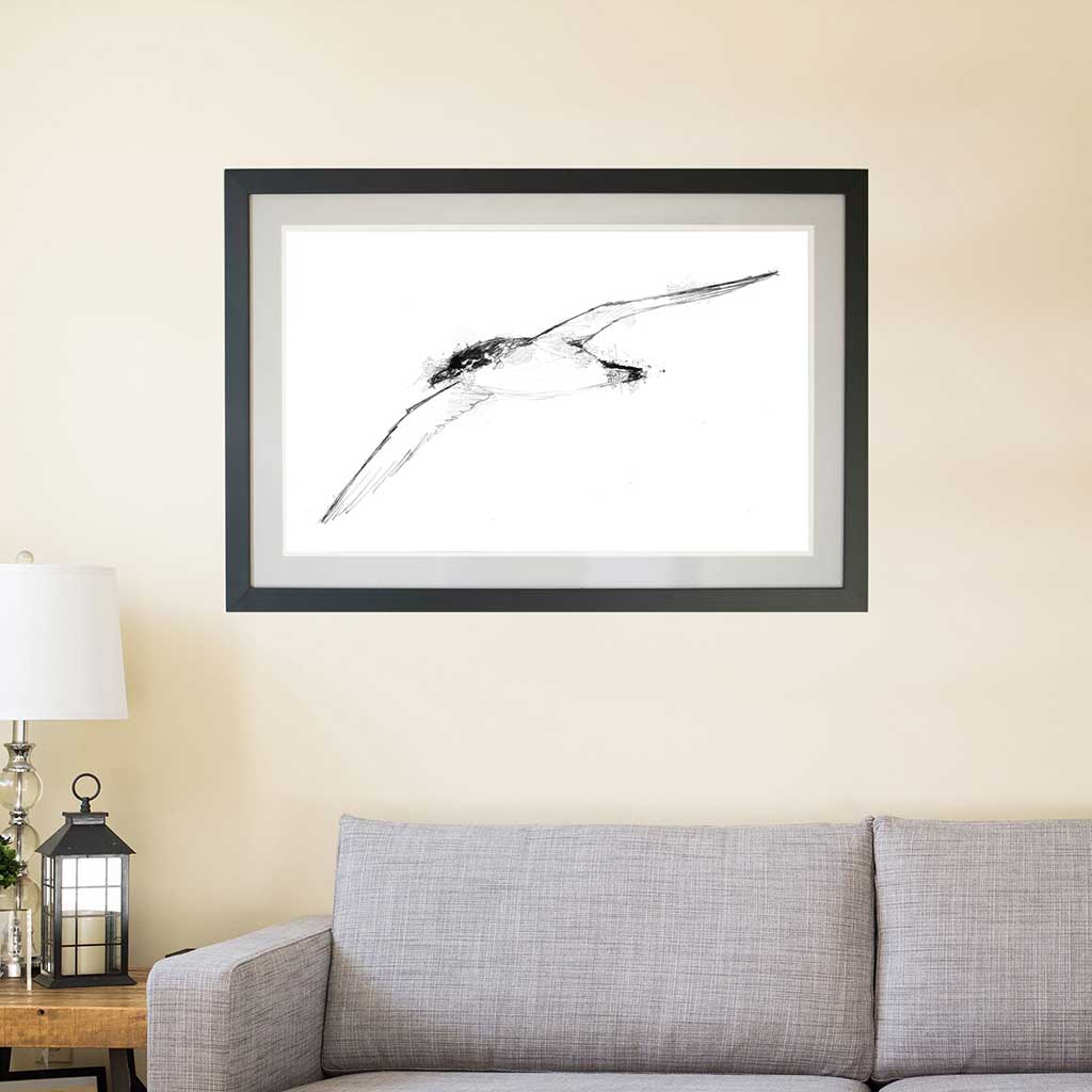 Manx shearwater