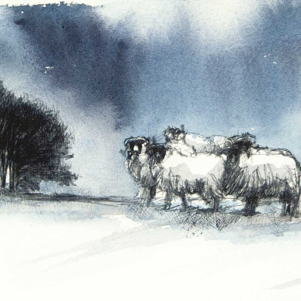 Sheep copse - Colour Sketch | long one off