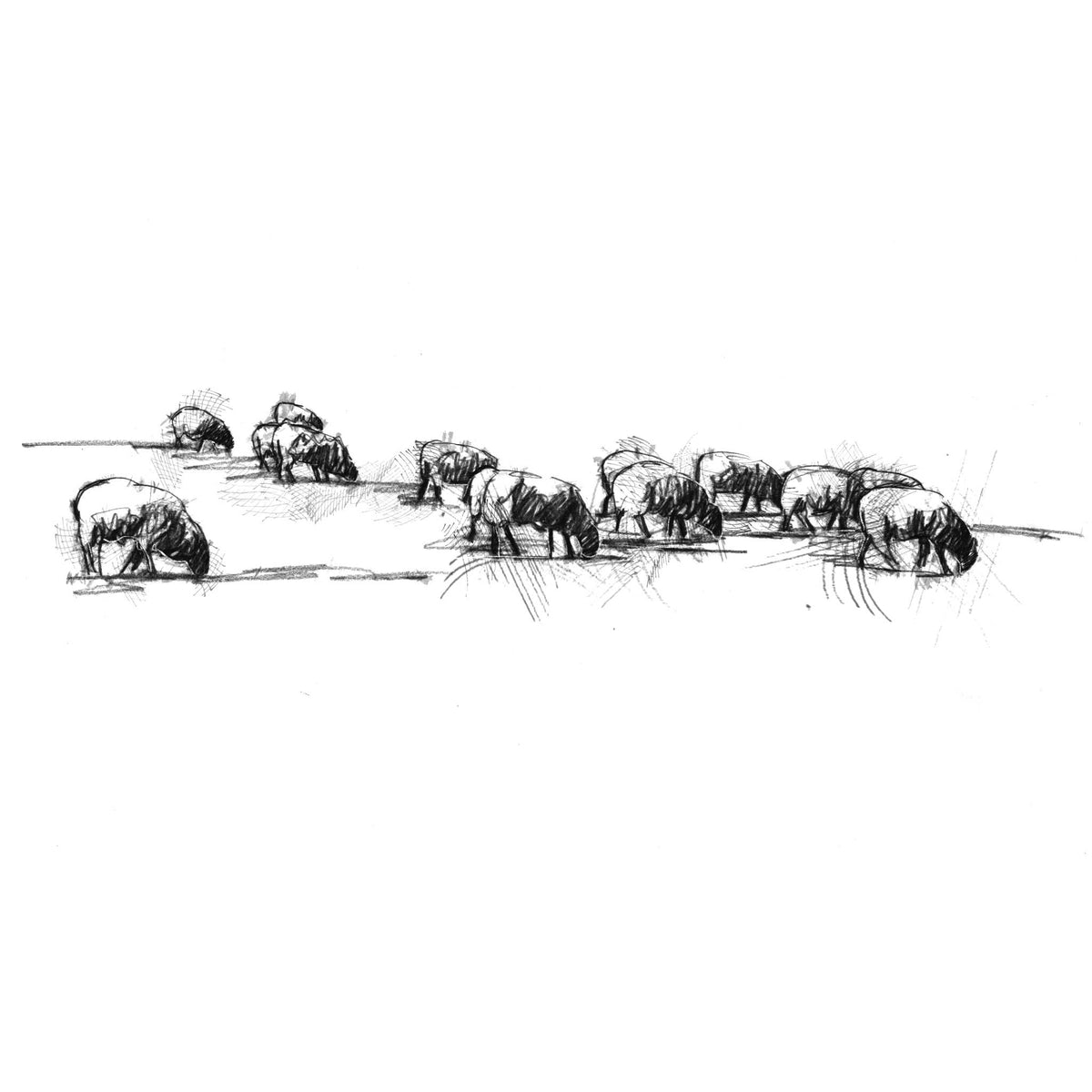 A minimalist black ink sketch of a herd of bison grazing on a plain white background.