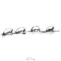 Sheep line