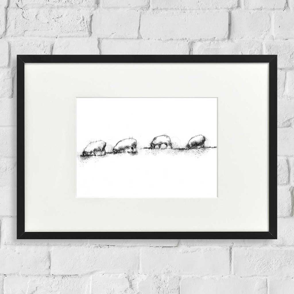 Sheep line