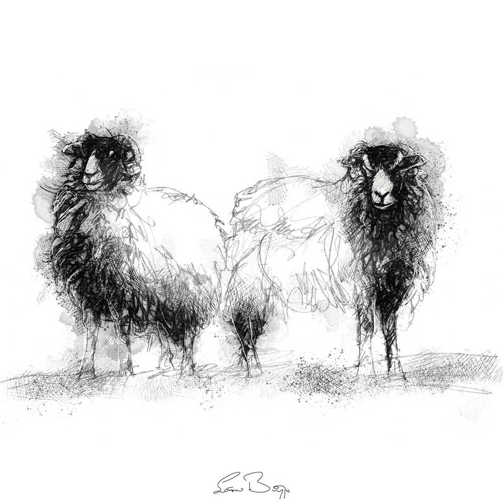 Ewe and ewe