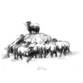 Top of the heap