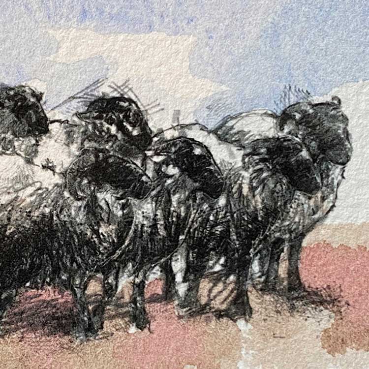 Sheep flock mini sketch
