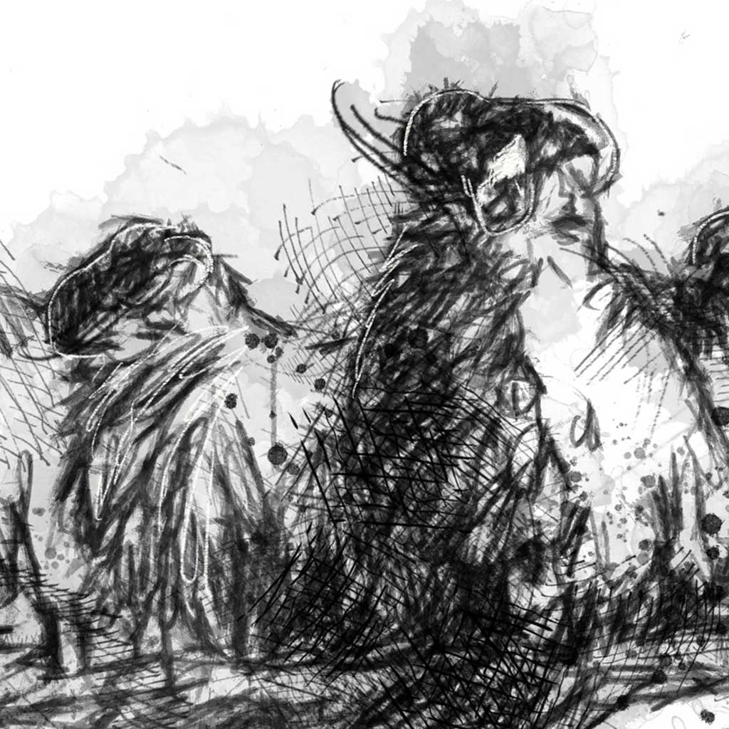 Sheep herd