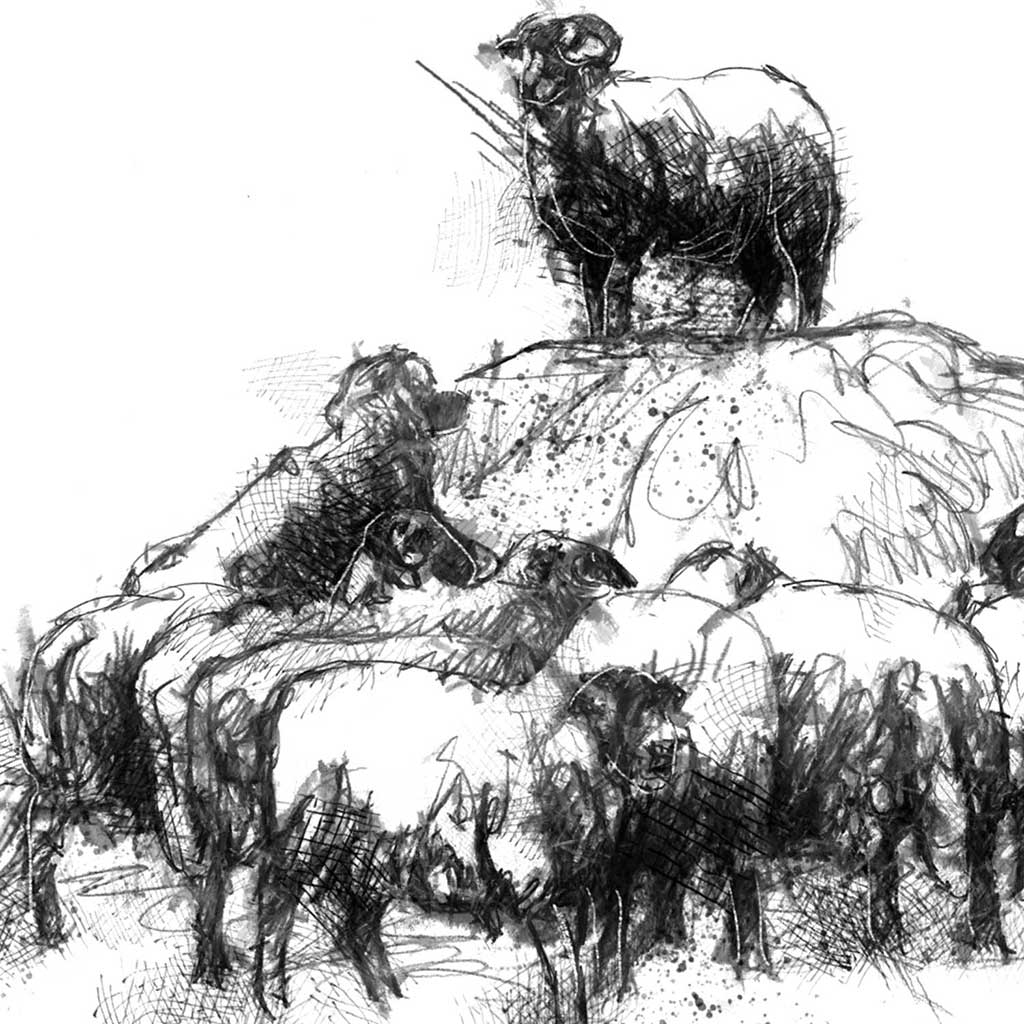 Top of the heap