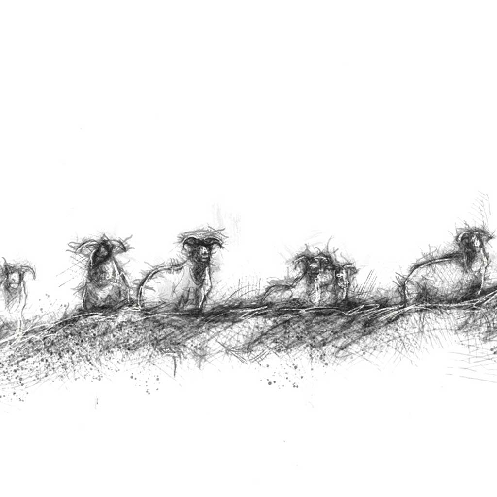 Flock line