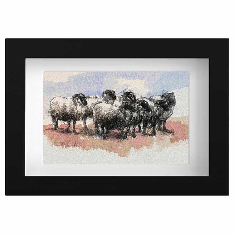 Sheep flock mini sketch