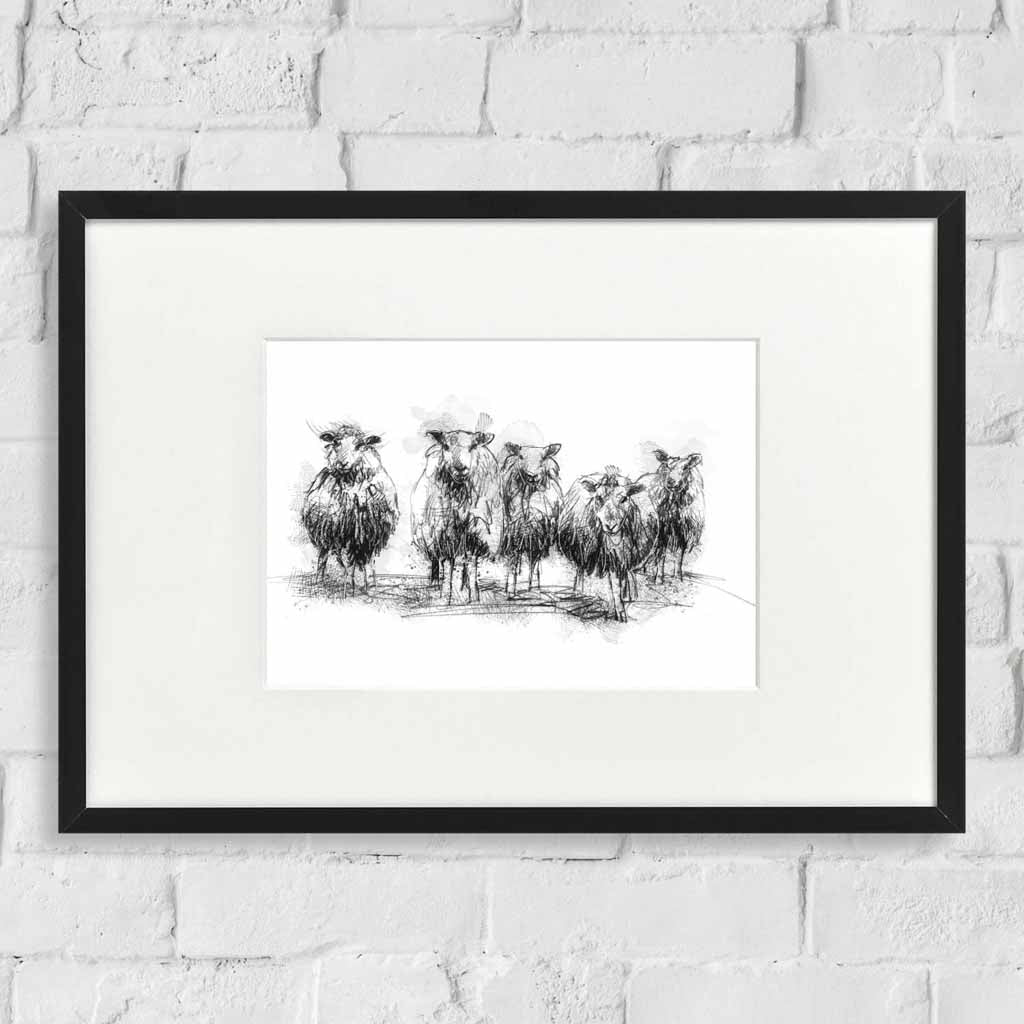 Sheep line