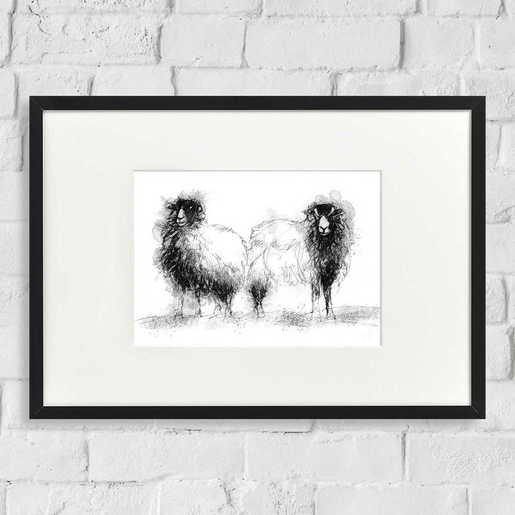 Ewe and ewe