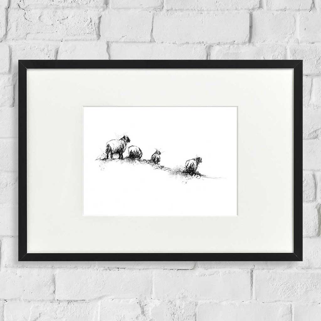Sheep line